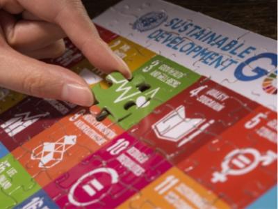 Integrated Policies and Policy Coherence for the SDGs