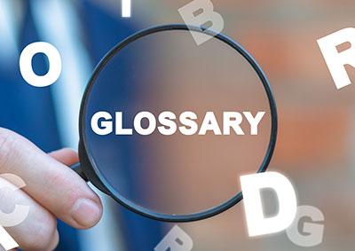 UN Public Administration Glossary