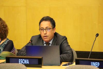 Observer for CEPA ESCWA