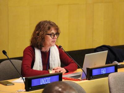 Observer for CEPA FAO