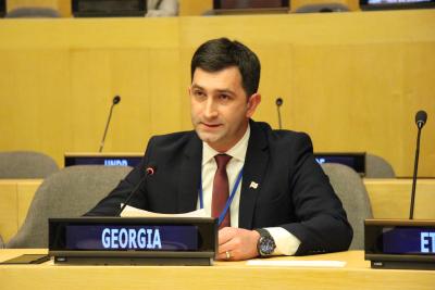 Observer for CEPA Georgia