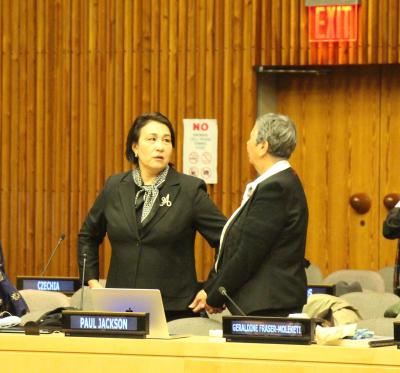 CEPA Aigul Kosherbayeva