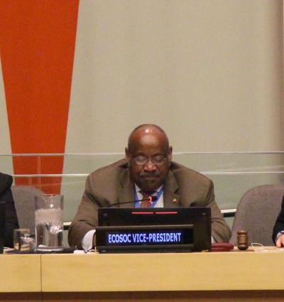 ECOSOC VP at CEPA